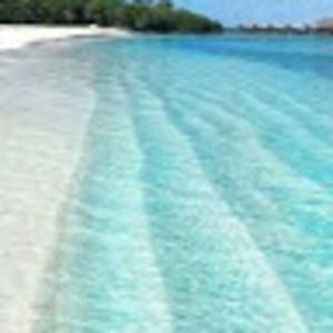 Meet your Posher, Kadence